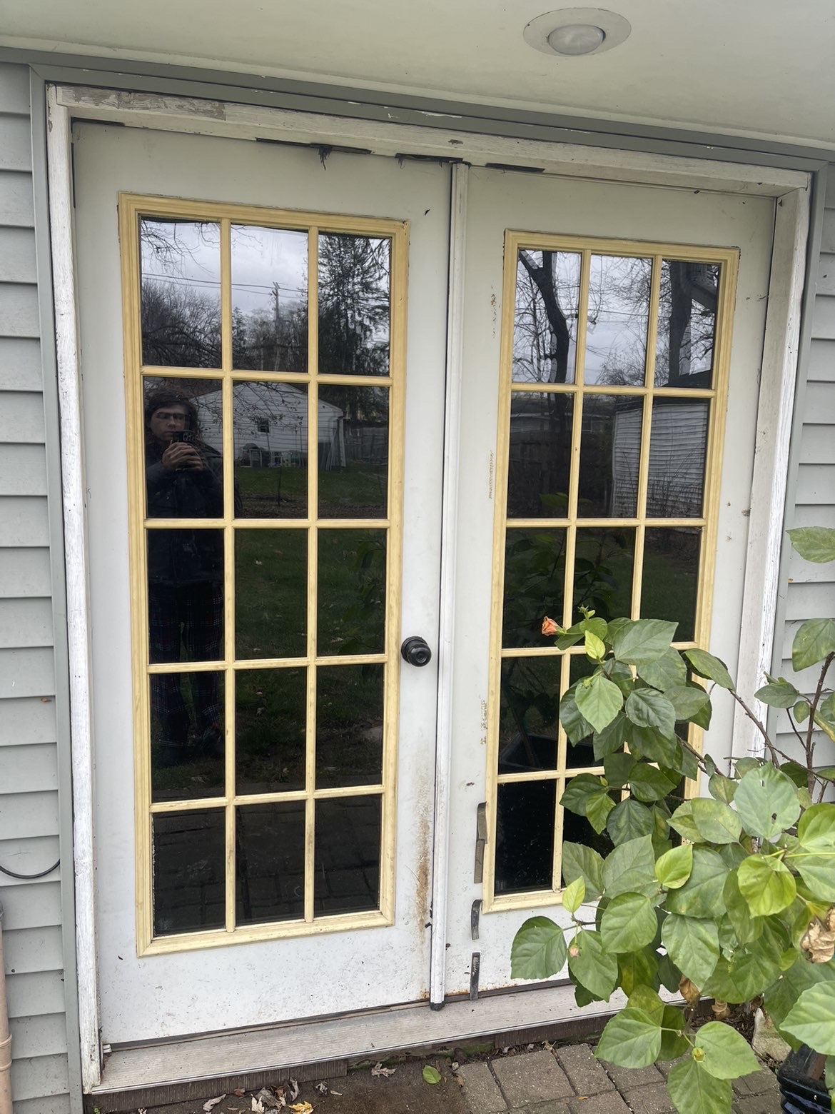 French doors with residential window film — exterior view